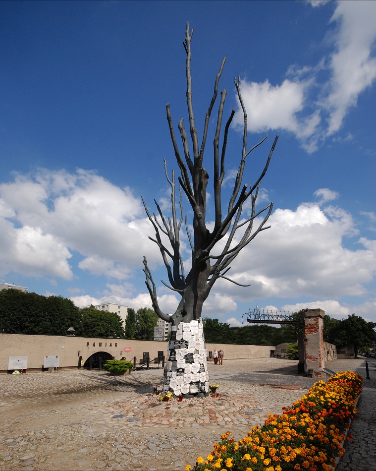 Pomnik Drzewa Pawiackiego 